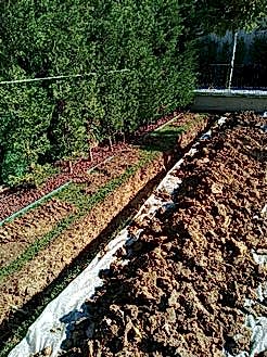 Otomatik Sulama sistemi ve drenaj