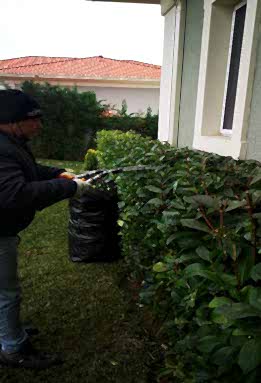 Periyodik Bahçe Bakımı