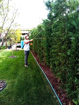 Periyodik Bahçe Bakımı