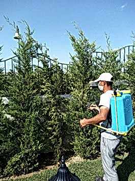 Periyodik Bahçe Bakımı